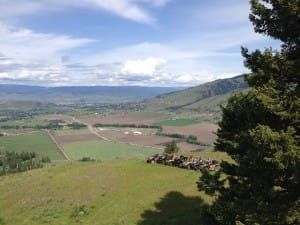 Overlooking Coldstream Valley